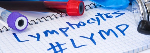 בדיקת רמת לימפוציטים (Lymphocytes) - תמונה